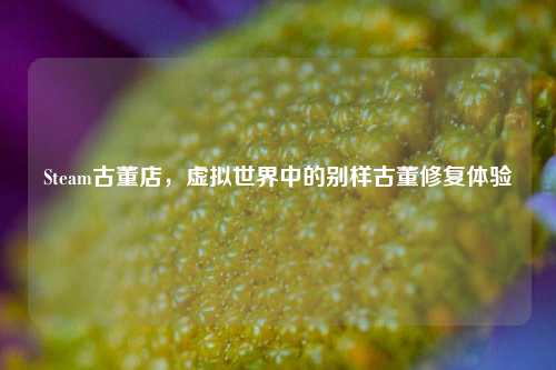Steam古董店,虚拟世界中的别样古董修复体验