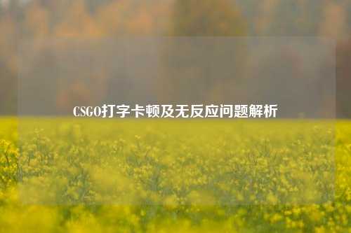 CSGO打字卡顿及无反应问题解析