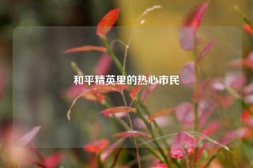 和平精英里的热心市民