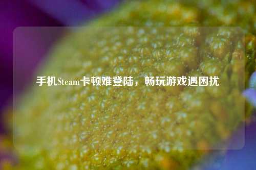 手机Steam卡顿难登陆,畅玩游戏遇困扰