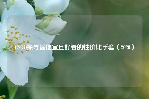 CSGO探寻最便宜且好看的性价比手套（2020）