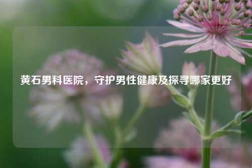 黄石男科医院,守护男性健康及探寻哪家更好