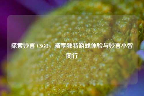 探索妙言 CSGO,畅享独特游戏体验与妙言小智同行