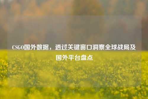 CSGO国外数据,透过关键窗口洞察全球战局及国外平台盘点
