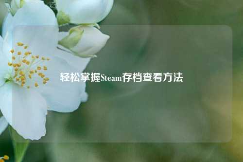 轻松掌握Steam存档查看方法