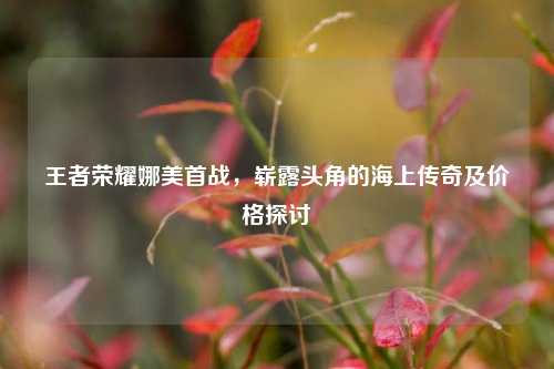 王者荣耀娜美首战,崭露头角的海上传奇及价格探讨