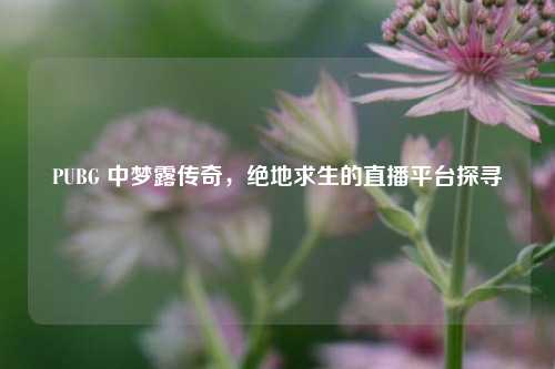 PUBG 中梦露传奇，绝地求生的直播平台探寻