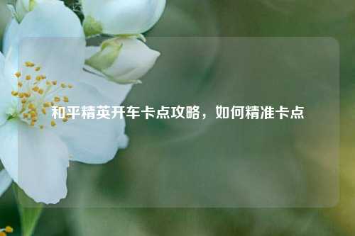 和平精英开车卡点攻略,如何精准卡点