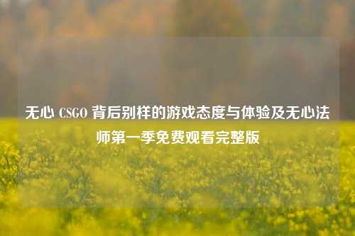 无心 CSGO 背后别样的游戏态度与体验及无心法师第一季免费观看完整版