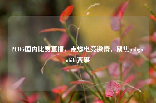 PUBG国内比赛直播,点燃电竞激情,聚焦pubgmobile赛事