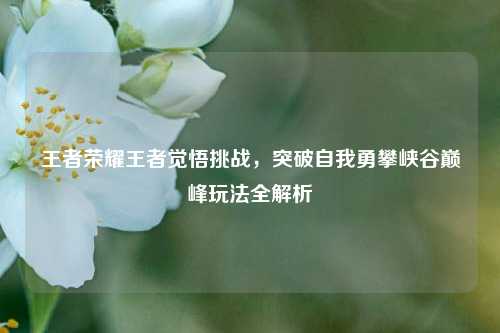 王者荣耀王者觉悟挑战，突破自我勇攀峡谷巅峰玩法全解析
