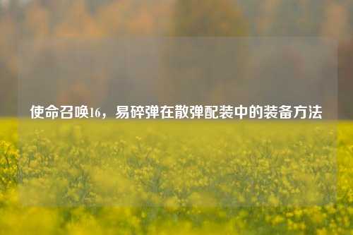使命召唤16,易碎弹在散弹配装中的装备方法