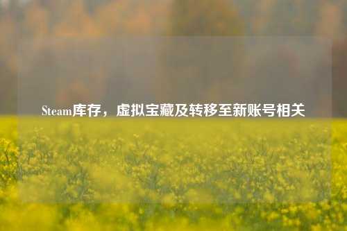 Steam库存,虚拟宝藏及转移至新账号相关
