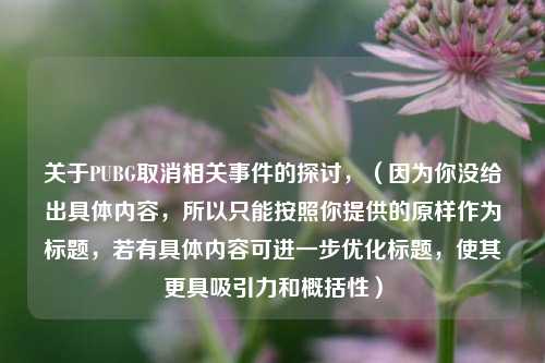 关于PUBG取消相关事件的探讨,(因为你没给出具体内容,所以只能按照你提供的原样作为标题,若有具体内容可进一步优化标题,使其更具吸引力和概括性)