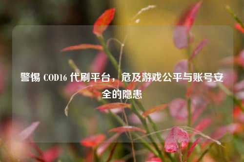 警惕 COD16 代刷平台,危及游戏公平与账号安全的隐患