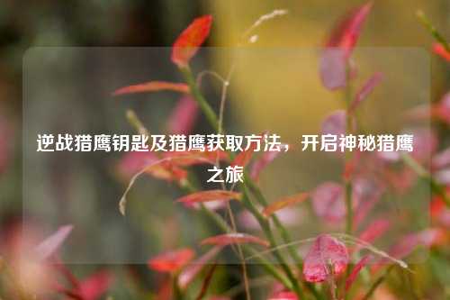 逆战猎鹰钥匙及猎鹰获取方法,开启神秘猎鹰之旅