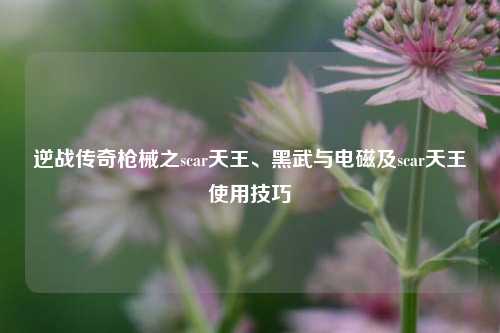 逆战传奇枪械之scar天王、黑武与电磁及scar天王使用技巧