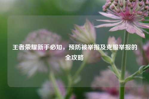王者荣耀新手必知,预防被举报及克服举报的全攻略