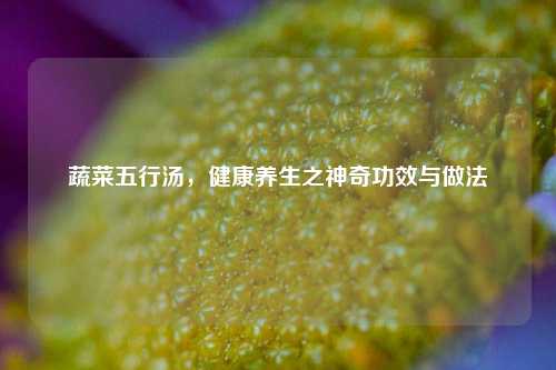 蔬菜五行汤，健康养生之神奇功效与做法