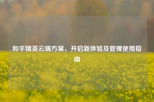 和平精英云端方案,开启新体验及管理使用指南