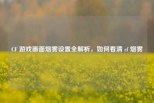 CF 游戏画面烟雾设置全解析,如何看清 cf 烟雾