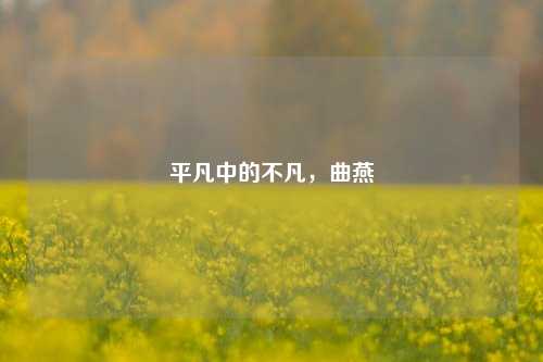 平凡中的不凡，曲燕