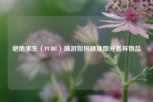 绝地求生(PUBG)端游如何精准部分丢弃物品