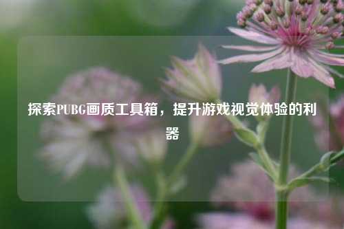 探索PUBG画质工具箱，提升游戏视觉体验的利器