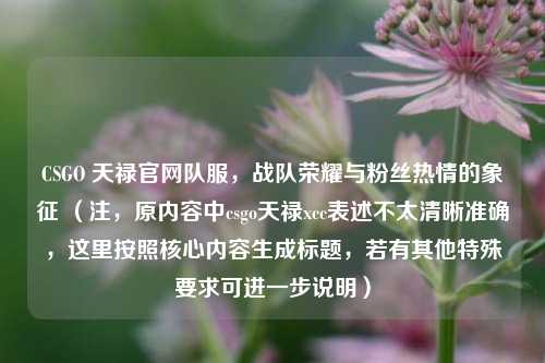 CSGO 天禄官网队服，战队荣耀与粉丝热情的象征 （注，原内容中csgo天禄xcc表述不太清晰准确，这里按照核心内容生成标题，若有其他特殊要求可进一步说明）