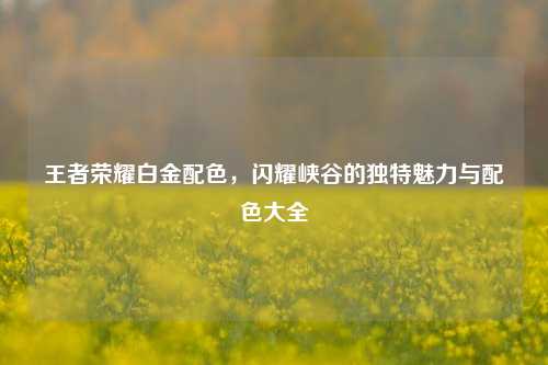 王者荣耀白金配色,闪耀峡谷的独特魅力与配色大全