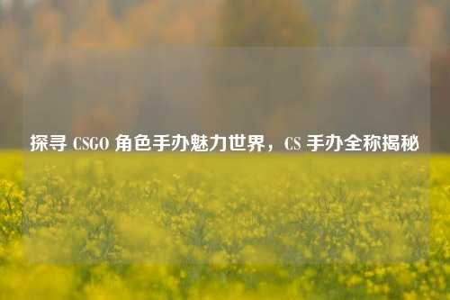 探寻 CSGO 角色手办魅力世界,CS 手办全称揭秘