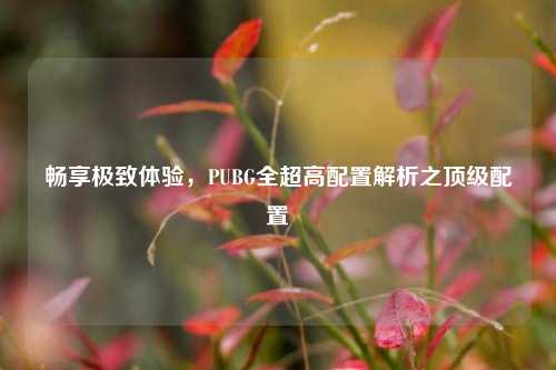 畅享极致体验,PUBG全超高配置解析之顶级配置