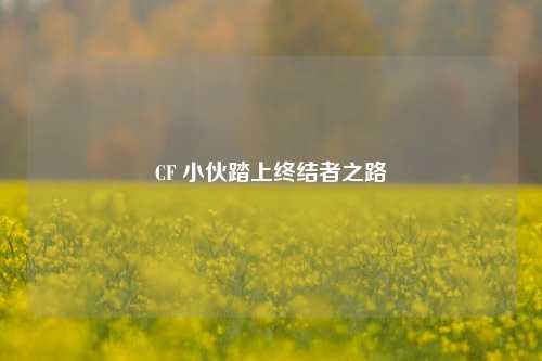 CF 小伙踏上终结者之路