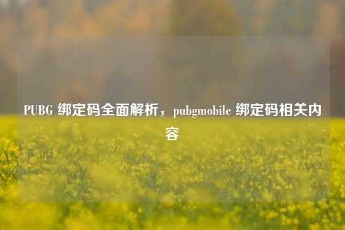 PUBG 绑定码全面解析,pubgmobile 绑定码相关内容