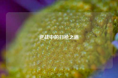 逆战中的扫枪之道