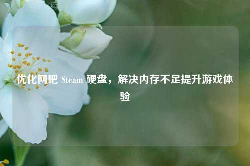 优化网吧 Steam 硬盘，解决内存不足提升游戏体验