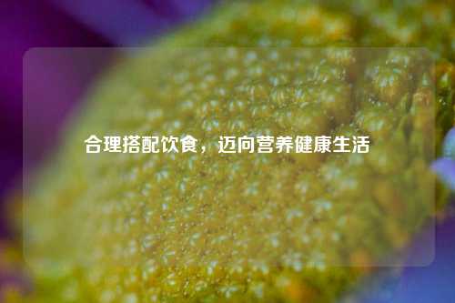 合理搭配饮食,迈向营养健康生活