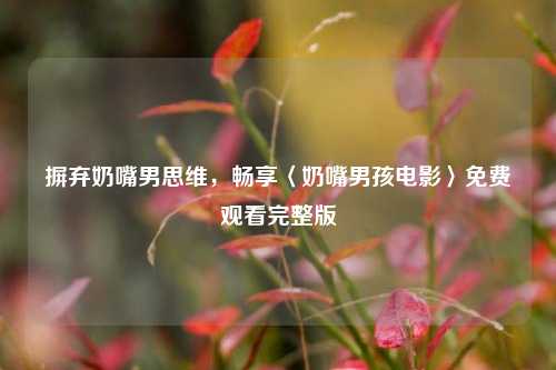 摒弃奶嘴男思维,畅享〈奶嘴男孩电影〉免费观看完整版