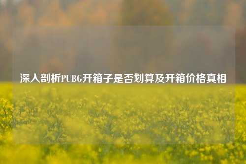 深入剖析PUBG开箱子是否划算及开箱价格真相