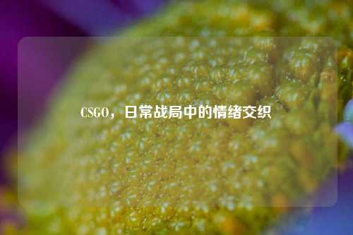 CSGO,日常战局中的情绪交织
