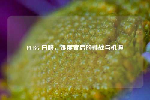 PUBG 日服，难度背后的挑战与机遇