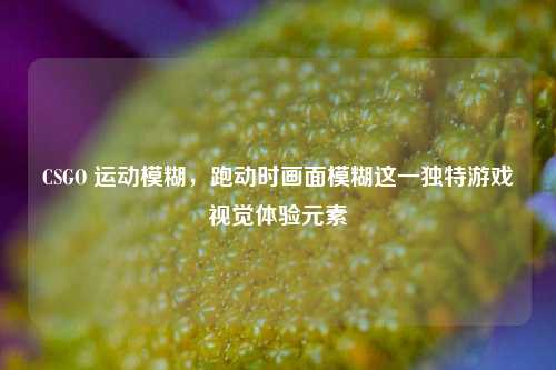 CSGO 运动模糊,跑动时画面模糊这一独特游戏视觉体验元素