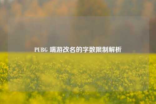 PUBG 端游改名的字数限制解析