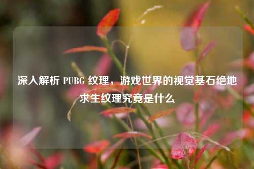 深入解析 PUBG 纹理，游戏世界的视觉基石绝地求生纹理究竟是什么
