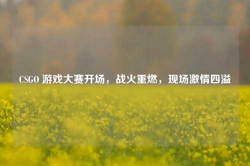 CSGO 游戏大赛开场,战火重燃,现场激情四溢