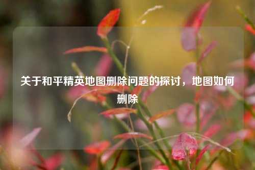 关于和平精英地图删除问题的探讨,地图如何删除