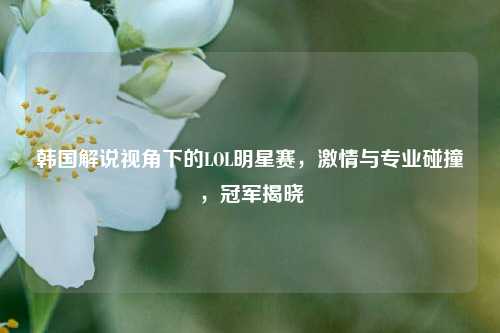 韩国解说视角下的LOL明星赛,激情与专业碰撞,冠军揭晓