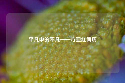 平凡中的不凡——方卫红简历