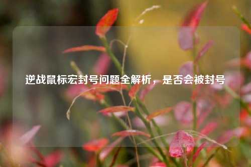逆战鼠标宏封号问题全解析，是否会被封号