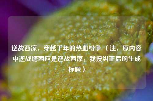 逆战西凉，穿越千年的热血纷争 （注，原内容中逆战塘西应是逆战西凉，我按纠正后的生成标题）